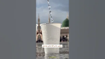 رفرف أيا قلب وامض نحو المدينة 