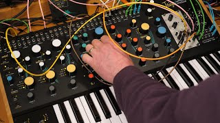 Pittsburgh Modular Taiga Keys - 3 Oscillator Movement