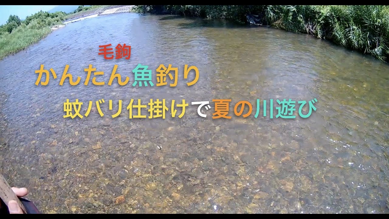 毛鉤釣り 蚊バリ仕掛けで夏の川遊び 前編 Youtube