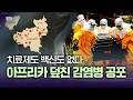 "치료제가 없다"...아프리카 휩쓸고 있는 더 강력해진 에볼라 [5분 정독]