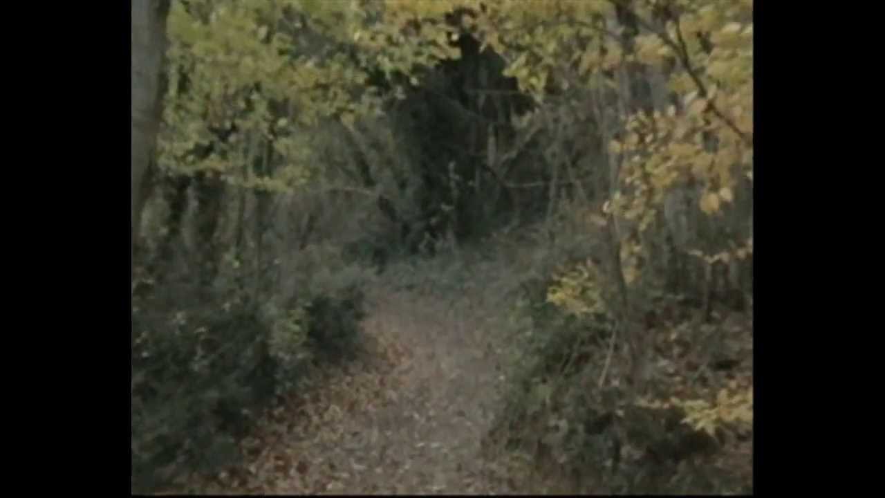 vtt samedi apres midi