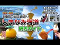 グルメ・絶景・パワースポット【しまなみ海道観光ガイド】ー愛媛県松山～広島県尾道までを6つの島を通ってドライブ
