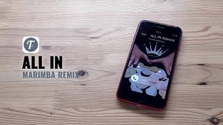 #1 ALL IN Stray Kids Ringtone (Marimba Remix) | Stray Kids Tribute | iPhone & Android Download