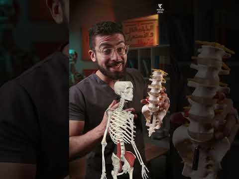 ازاي متبقاش زي ستيرلينج أسباب تقوس أسفل الظهر و بروز المؤخرة