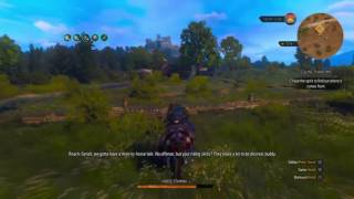 The Witcher 3 Wild Hunt Blood & Wine Geralt & Roach Have A Man To Horse Talk