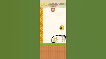 Max Level Save The Dog - Dog Escape Game  All Levels New UPdate Android,ios  Shorts # 177