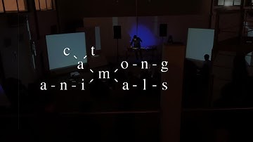 Cat Among Animals - Live Touchdesigner Audio Visual Performance by Steve Pan & Nicholas Marriott
