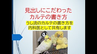 見出しにこだわったカルテの書き方(自分なりに大事な所を循環器内科医が解説します)