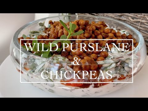 WILD PURSLANE & CHICKPEA SALAD: REFRESHING SUMMER TASTE!!