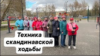 Основные моменты правильной техники скандинавской ходьбы.