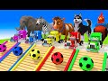 5 Giant Duck, Monkey, Piglet, chicken, dog, dinosaur, Sheep, Transfiguration funny animal 2023