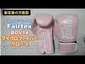 【Fairtex】BGV14マイクロファイバーグローブ6ozをレビュー