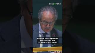 Pakistan proposes layered reforms to curb UN Security Council veto power