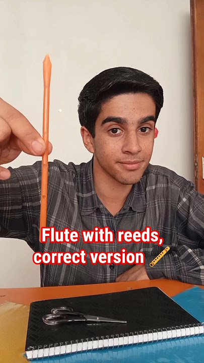 Download lagu Flute with reeds, correct version πͺ