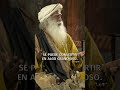 Cómo siempre tomar la decisión correcta | Sadhguru #shorts