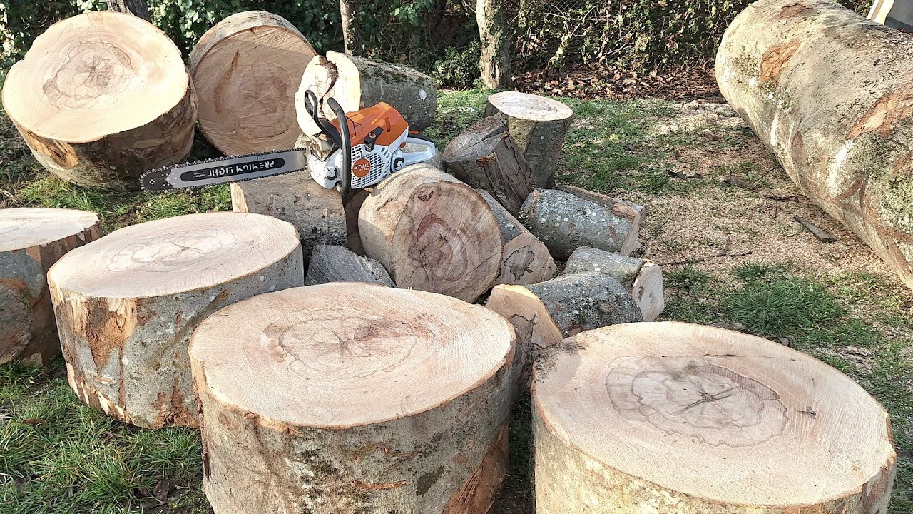 Stihl MS 363 (50cm bar, 9 pin RIM) & Husqvarna 365 XT working !!!