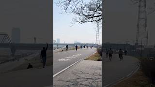 A peaceful moment near the Edo River (February 15, 2026) #japan
