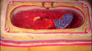 ayun jelly swimming