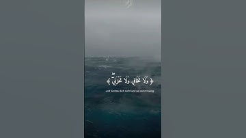 قران كريم بصوت الشيخ ياسر الدوسري سورة القصص 🌹❤️