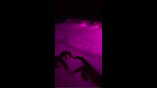 Veigh  Perdoa Por Tudo Vida verso Speed