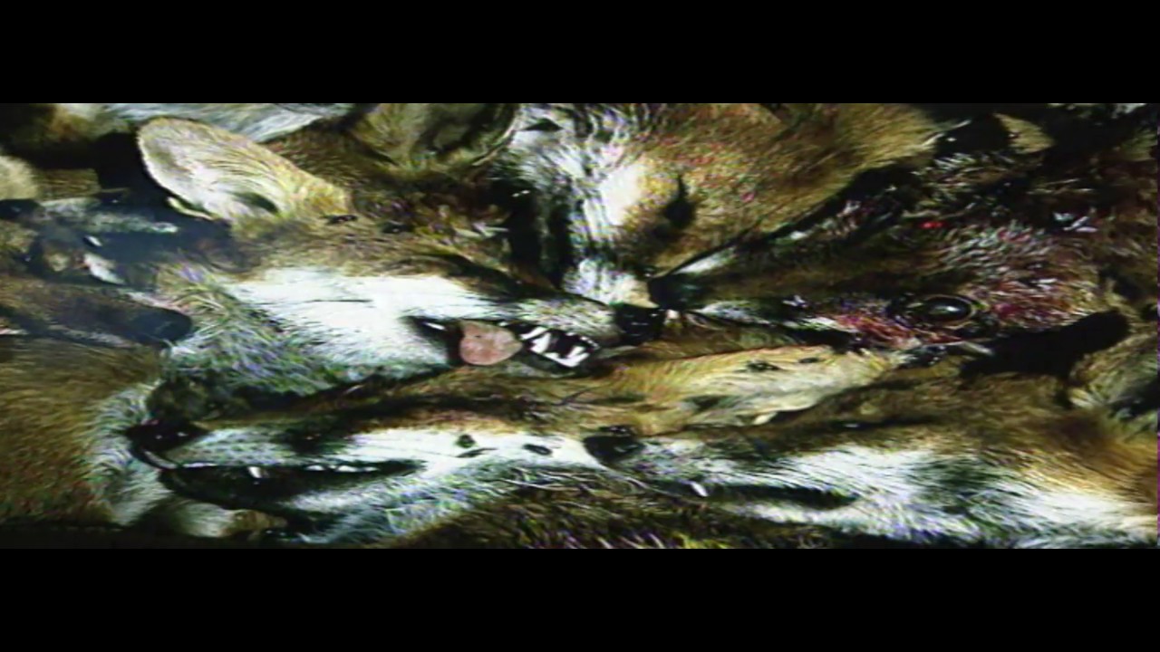 Postcards Episode 01 | Global Entertainment