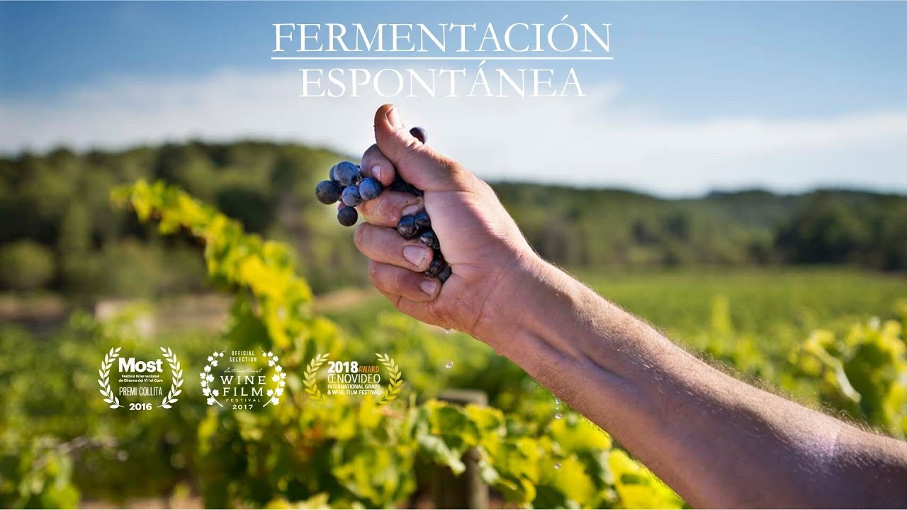 FERMENTACIÓN ESPONTÁNEA