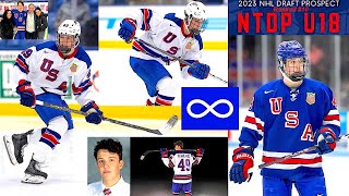Gabriel Perreault: Metis: - Pro. Indigenous Hockey Player - Sherbrooke, Quebec