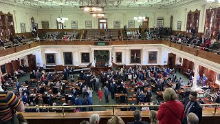 Roles of State Representatives and Senators