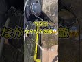 屋根洗浄動画 #diy #シール #塗装 #外壁塗装 #屋根塗装 #川崎市 #建築 #職人 #職人あるある #麻生区