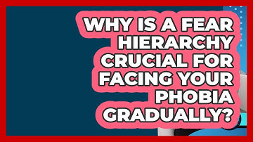 Why Is A Fear Hierarchy Crucial For Facing Your Phobia Gradually? - Face Your Phobias