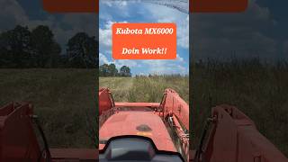 Best Tractor for the Money? Kubota MX6000