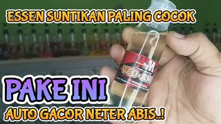 Download Lagu ESSEN OPLOSAN GURIH AMIS SEMUA IKAN :: ESSEN VCO AMIS MP3