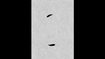 X Logo Animation Made in Procreate 🤯🥵 | Tilt Your Phone 🔃 #procreate #animation #logo #logoanimation