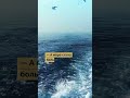 Камень и Море. Поучительная история. #притча