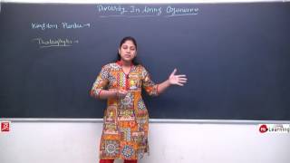 Download lagu Diversity In Living Organisms Kingdom Plantae Classification 05 For Class 9th NTSE Diversity In Living Organisms Kingdom Plantae Classification 05 For Class 9th NTSE