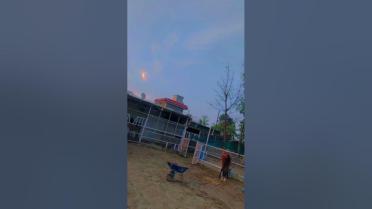 Untitled video