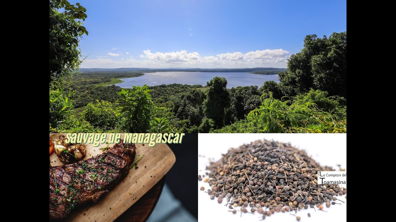 Poivre sauvage de Madagascar (Voatsiperifery) - Achat et recettes