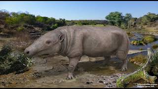 Anthracotherium Sounds