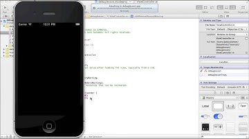 XCode Tutorial (Special One): Debugging (NSLog, Breakpoints, Errors, Warnings and more)