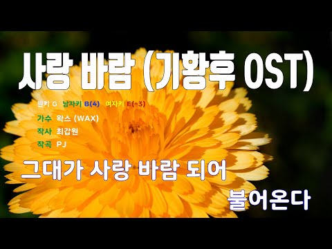 [은성 반주기] 사랑바람(기황후OST) - 왁스(WAX)