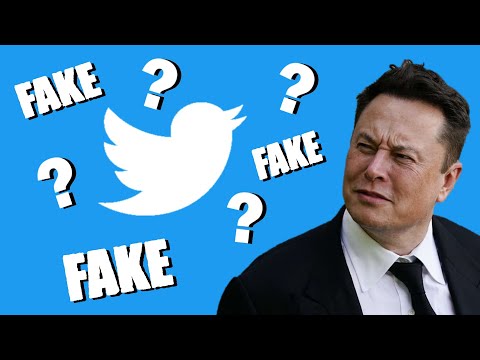 Elon Musk im Krieg mit Twitter - Unsere Kursprognose!