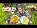 Preparo 2 platos típicos de los andes, una RICA SOPA y SEGUNDO de CHOCHOS | Jordy Aventurero