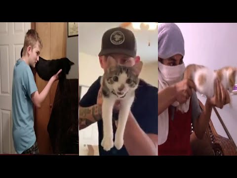 Cat With Gun Meme? – Memes Feel