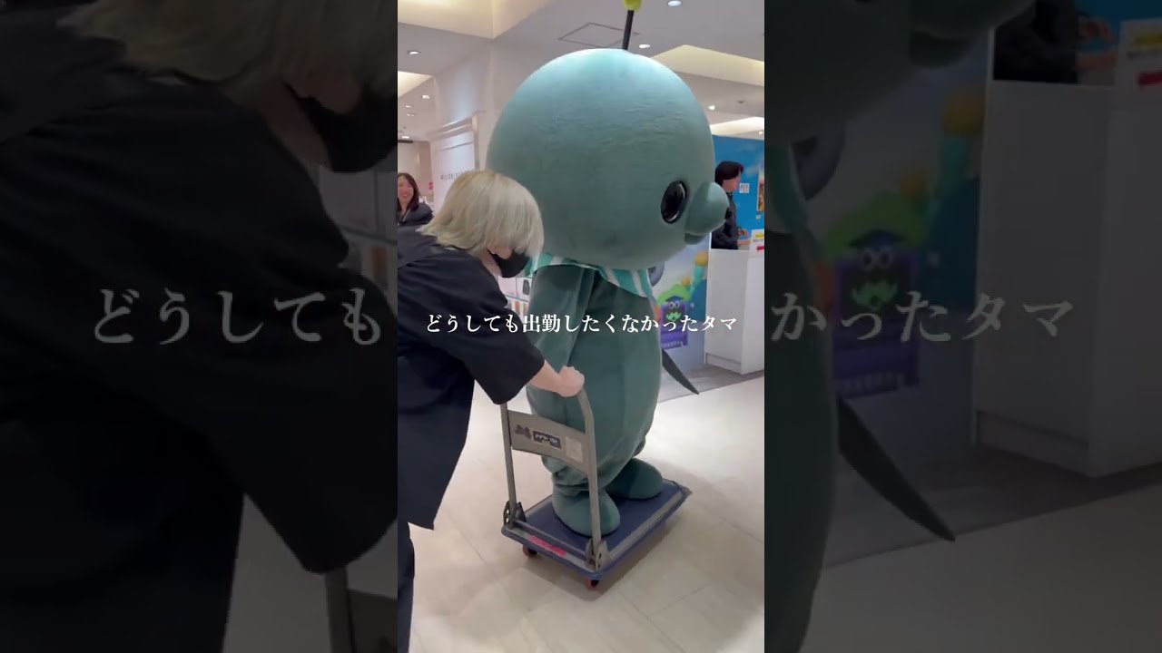 どうしても出勤したくなかったタマ #Shorts - YouTube