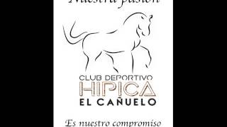 CLUB DEPORTIVO HÍPICA "EL CAÑUELO" EN VILLAREJO DE SALVANÉS. 11/04/2017.