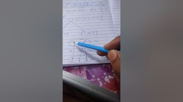 Bipartite and complete bipartite graph