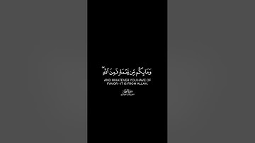 سورة النحل بتلاوة الشيخ ياسر الدوسري #قرآن_كريم #سورة_النحل #الشيخ_ياسر_الدوسري #fyp