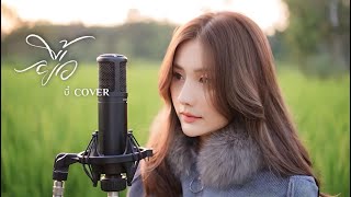 Video thumbnail of "ยื้อ - บี๋[COVER] Original ปรีชา ปัดภัย"