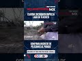 🌿 La vida regresa al Lago de Texcoco: la 4T logra el retorno de aves tras 15 años 🇲🇽