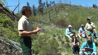 Fire Effects on Native and Nonnative Fish